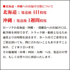 画像3: 蓮の花のローソク 台なしブロンマ ホワイト/白 T415W (3)