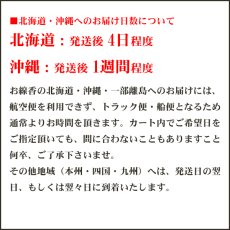 画像2: 大撥のお線香 梅 丹花 大バラ詰 170g (2)