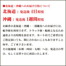 画像2: 玉初堂のお線香 ルームインセンスリビング 閑（かん） 茶席の香り　 (2)